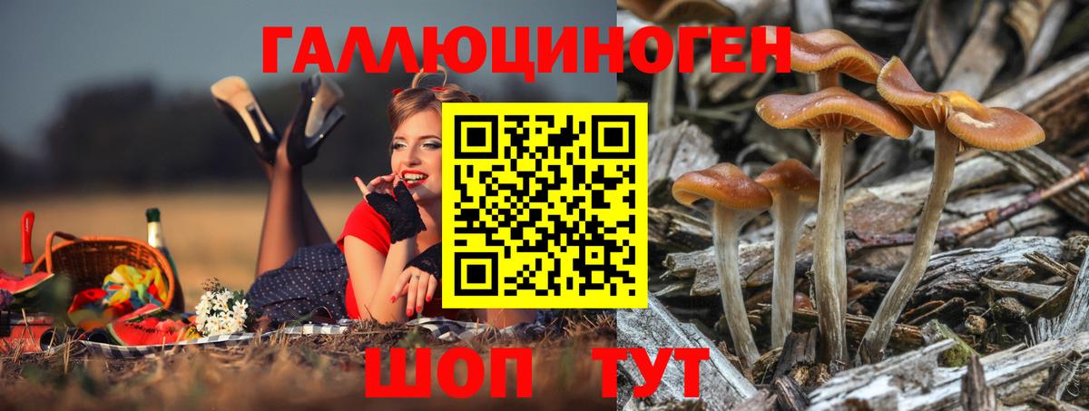 Саров  Галлюциногенные грибы Psilocybine cubensis  Вход с VPN  Галлюциногенные грибы Magic Shrooms 